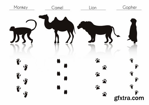 Collection icon animal footprint paw print vector image 25 EPS