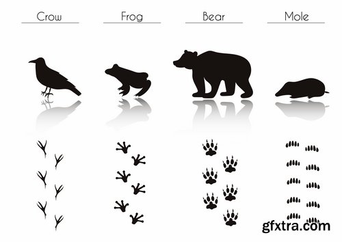 Collection icon animal footprint paw print vector image 25 EPS