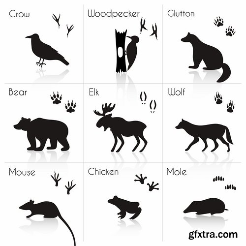 Collection icon animal footprint paw print vector image 25 EPS