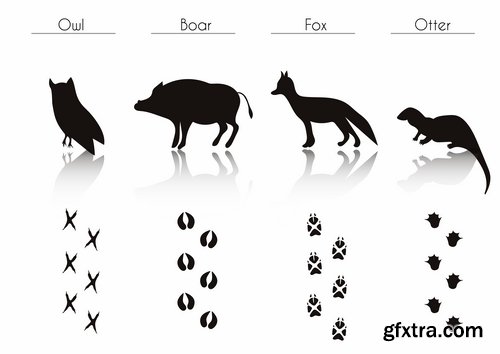 Collection icon animal footprint paw print vector image 25 EPS