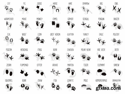 Collection icon animal footprint paw print vector image 25 EPS