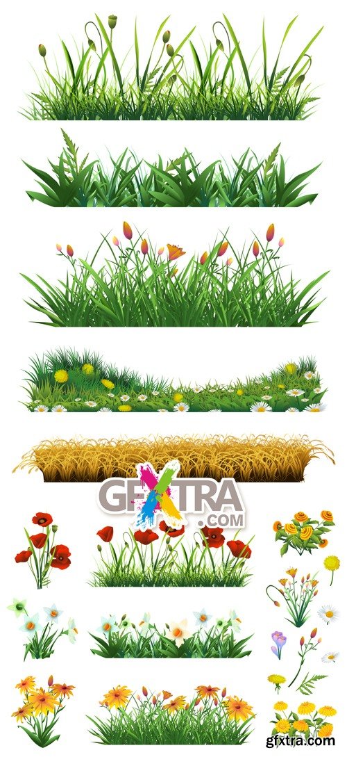 Grass & Flowers Borders Vector