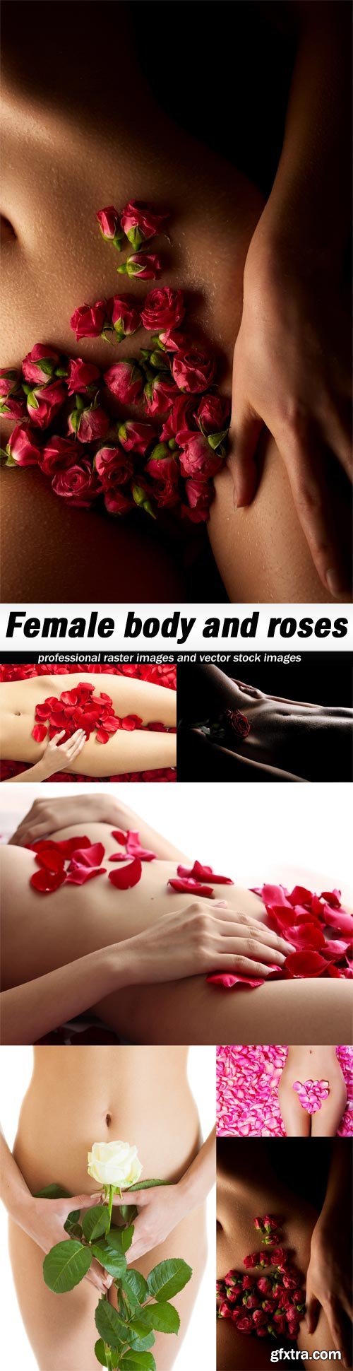 Female body and roses