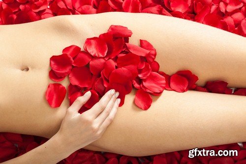 Female body and roses