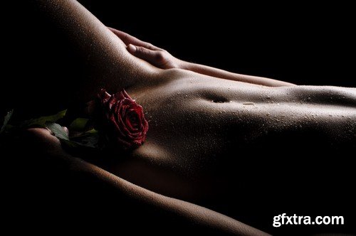 Female body and roses