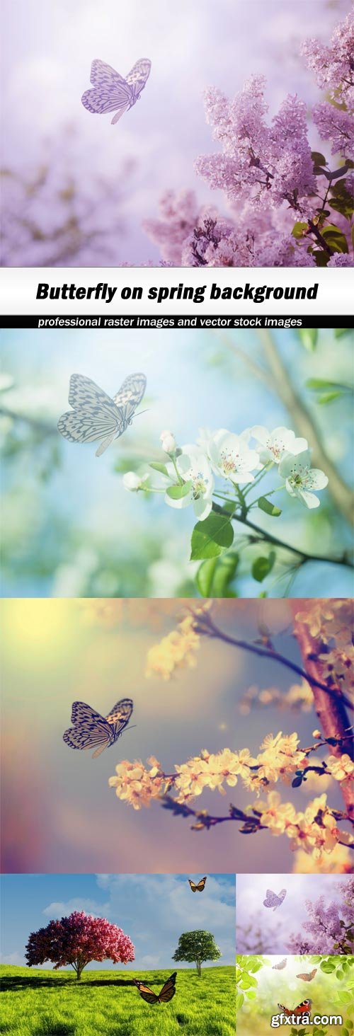 Butterfly on spring background