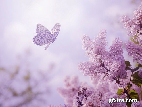 Butterfly on spring background