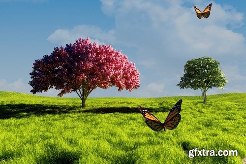 Butterfly on spring background