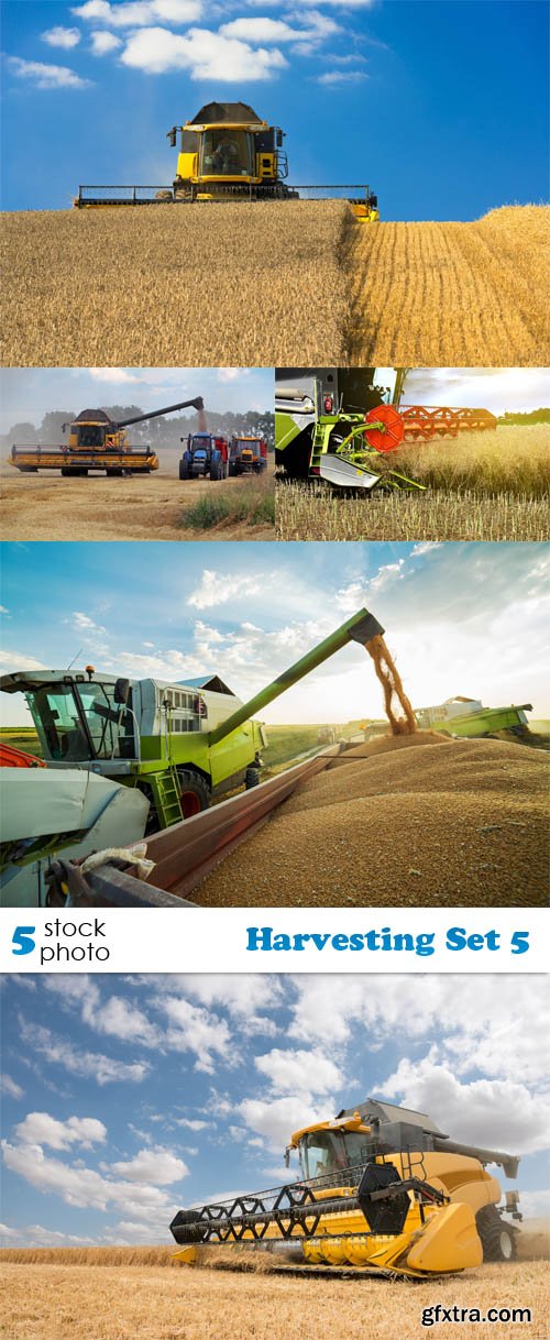 Photos - Harvesting Set 5