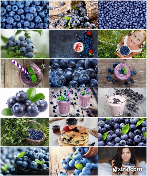 Collection of blueberries juice pastry pie stuffed with jam 25 HQ Jpeg