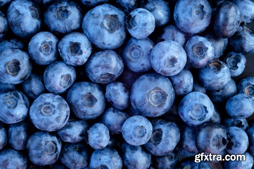 Collection of blueberries juice pastry pie stuffed with jam 25 HQ Jpeg