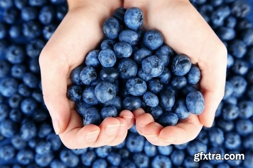 Collection of blueberries juice pastry pie stuffed with jam 25 HQ Jpeg