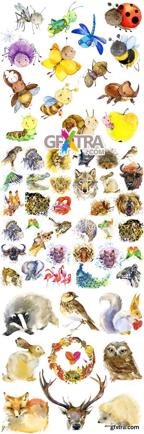 Stock Photo - Watercolor Animals & Insects