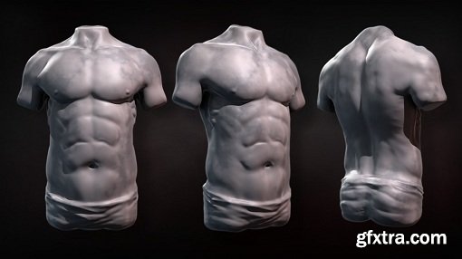 Sculpting Human Torsos in ZBrush