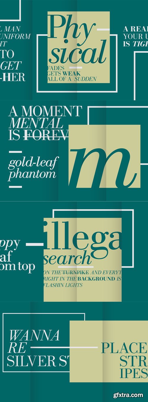 New Bodoni DT Font Family $490