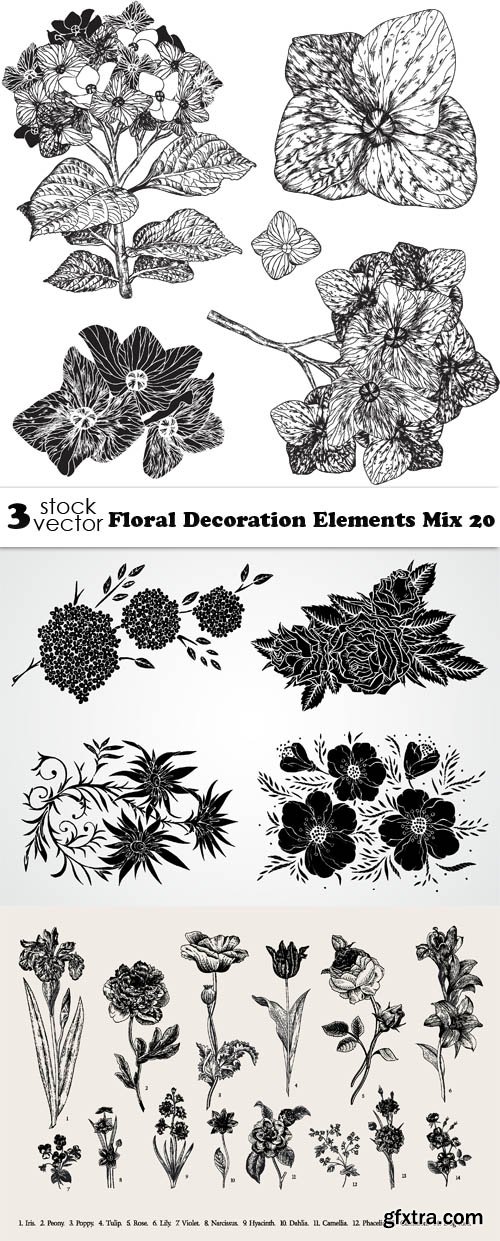 Vectors - Floral Decoration Elements Mix 20