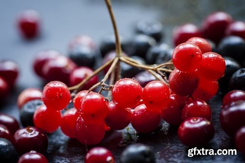 Collection of berry juice cranberry compote jam marmalade 25 HQ Jpeg