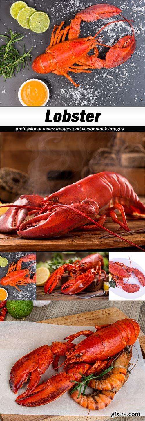 Lobster