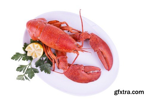 Lobster