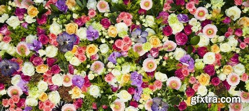 Flowers Backgrounds - 30x JPEGs