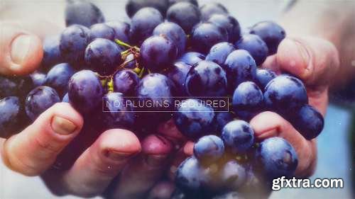 Videohive Lovely Slideshow 15396002