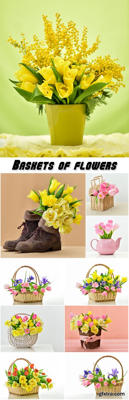 Baskets of flowers, tulips, mimosa