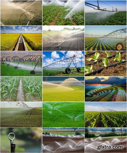 Collection Field Irrigation System watering plants drainage system 25 HQ Jpeg