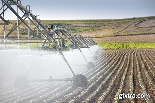 Collection Field Irrigation System watering plants drainage system 25 HQ Jpeg