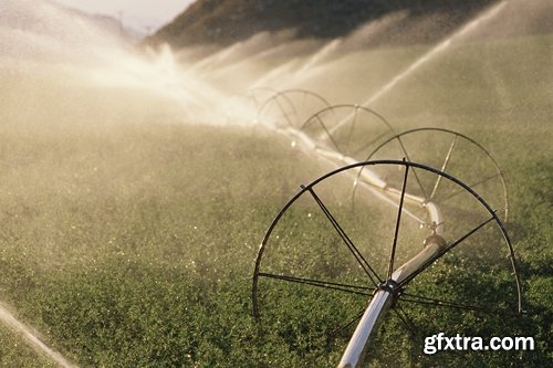 Collection Field Irrigation System watering plants drainage system 25 HQ Jpeg