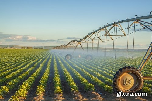 Collection Field Irrigation System watering plants drainage system 25 HQ Jpeg