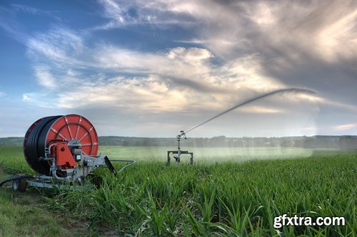 Collection Field Irrigation System watering plants drainage system 25 HQ Jpeg