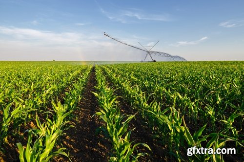 Collection Field Irrigation System watering plants drainage system 25 HQ Jpeg