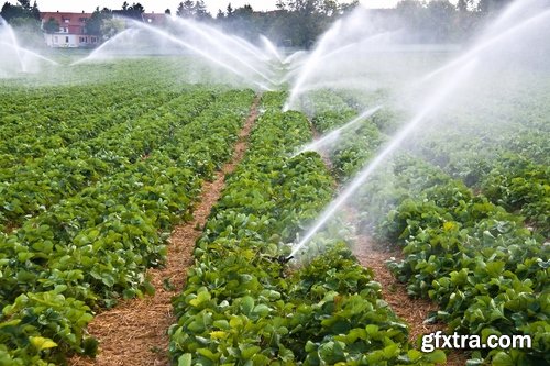 Collection Field Irrigation System watering plants drainage system 25 HQ Jpeg