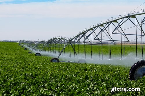 Collection Field Irrigation System watering plants drainage system 25 HQ Jpeg