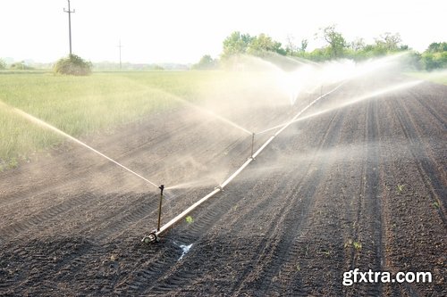 Collection Field Irrigation System watering plants drainage system 25 HQ Jpeg