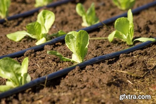 Collection Field Irrigation System watering plants drainage system 25 HQ Jpeg