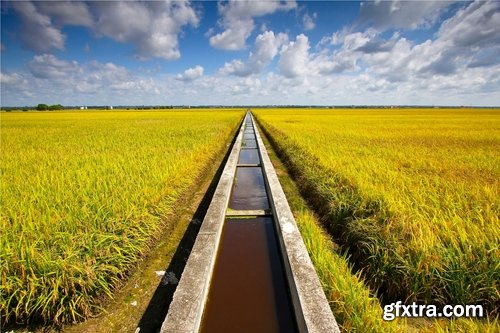 Collection Field Irrigation System watering plants drainage system 25 HQ Jpeg