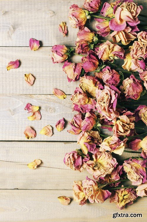 Roses on a wooden background-7xJPEGs