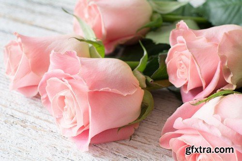 Roses on a wooden background-7xJPEGs