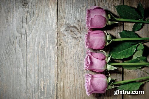 Roses on a wooden background-7xJPEGs