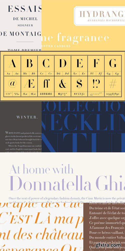 Didot Font Family $300