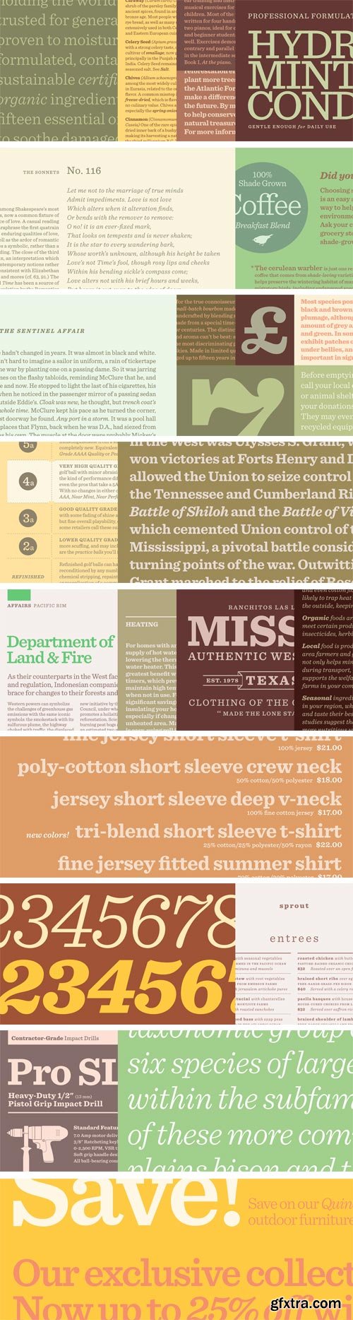 Sentinel Font Family