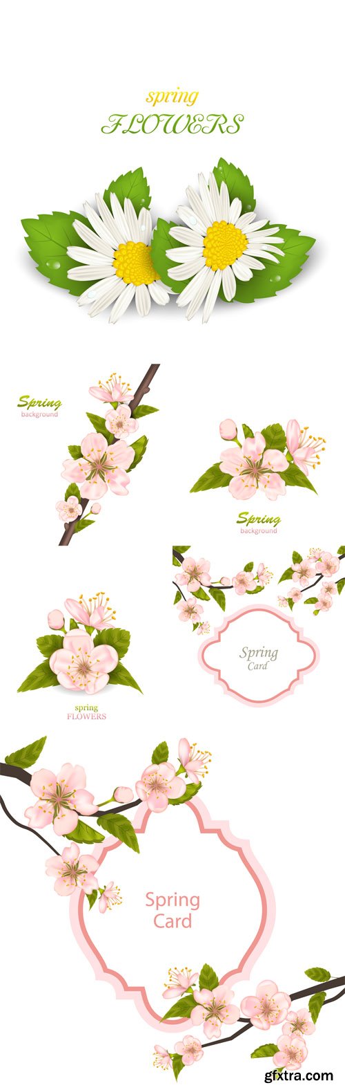 Vector Set - Spring Background with Cherry Blossom