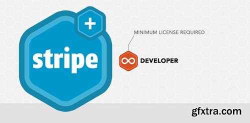 Stripe v2.0.5 - GravityForms Add-On