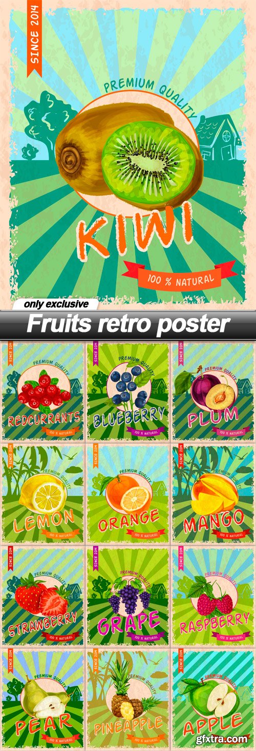 Fruits retro poster - 13 EPS