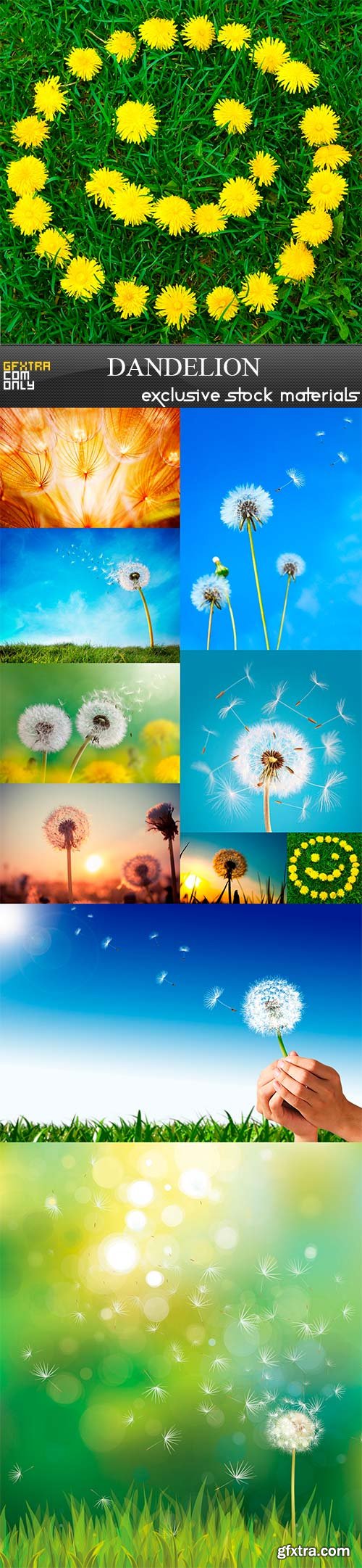 Dandelion, 10 x UHQ JPEG