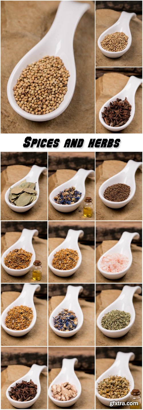 Collection of aromatic spices and herbs