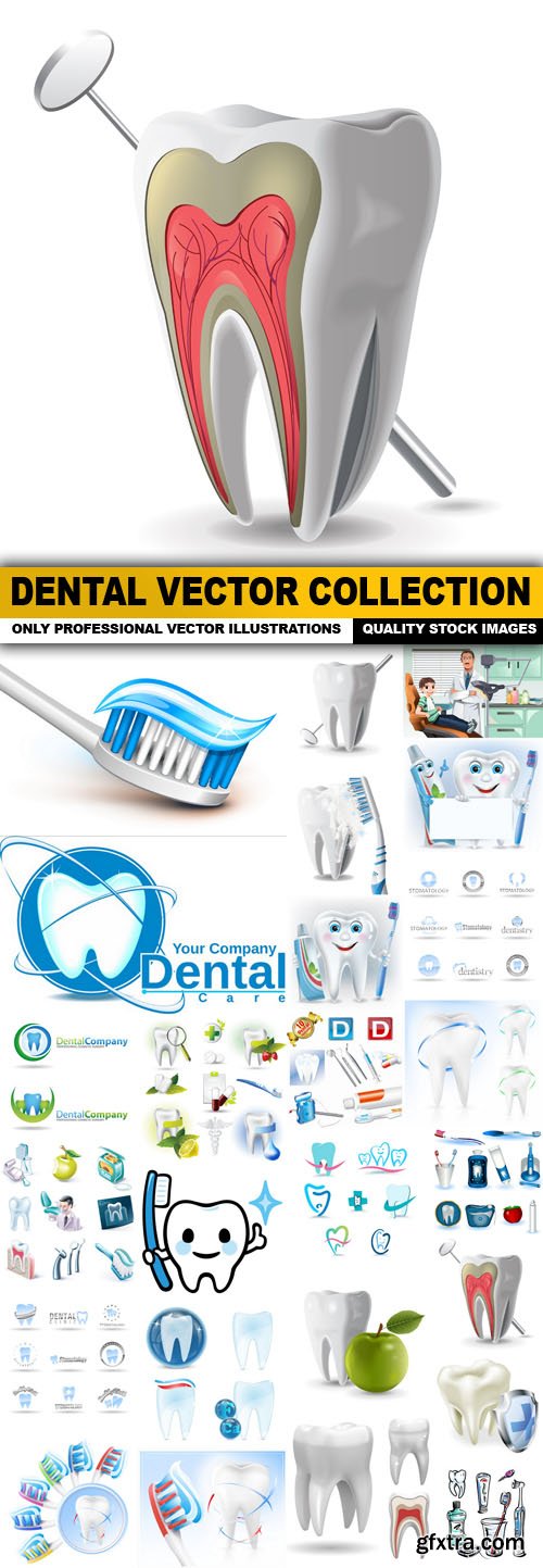 Dental Vector Collection - 25 Vectors