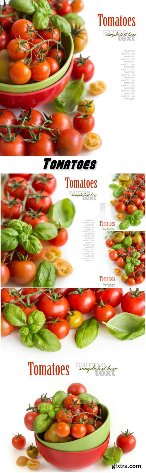 Tomatoes on a white background