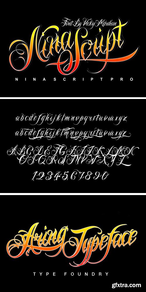 Nina Script Pro Font Family